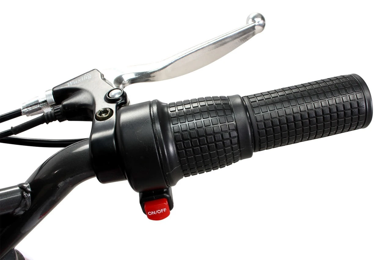 Elektrocrossbike Gazelle In Rot 8 Elektrocrossbike Gazelle In Rot – Bild 8