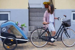 Hamax Fahrradanhänger AVENIDA ONE Einsitzer (incl. Bicycle Arm & Stroller Wheel) 11 Hamax Fahrradanhänger AVENIDA ONE Einsitzer (incl. Bicycle Arm & Stroller Wheel) -Trendiger Spielzeugladen hamax fahrradanhanger avenida one einsitzer incl bicycle arm and stroller wheel 5